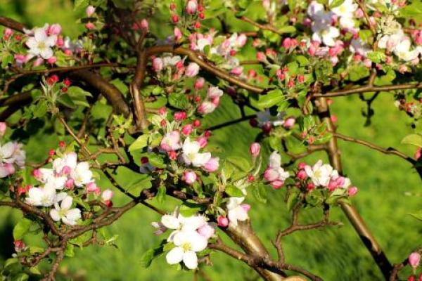 Frühlingsstammtisch 2026