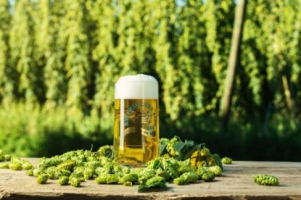 Stammtisch mit Verkostung im Allgäu im Oktober