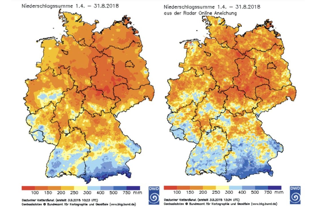 Sommergerste 2018